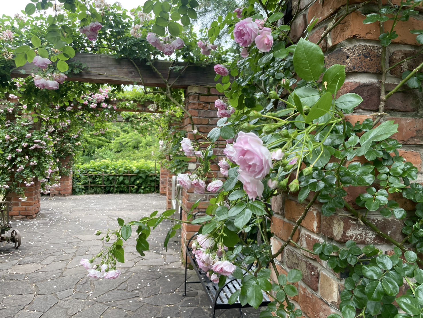 梅雨入りに秘密の花園へプチ旅行